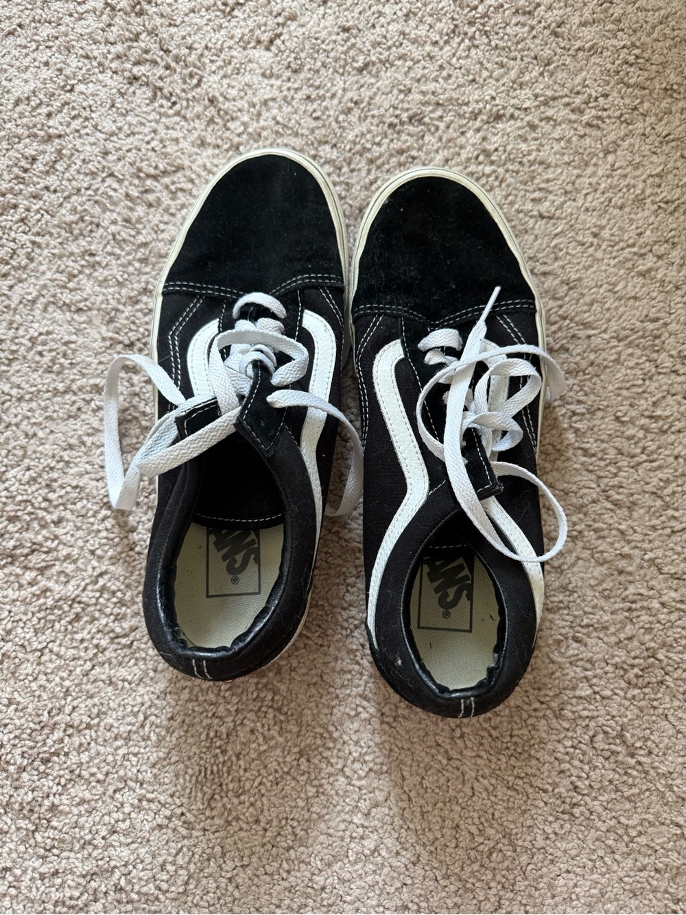 Vans Black and White Low-Top Skate Sneakers
